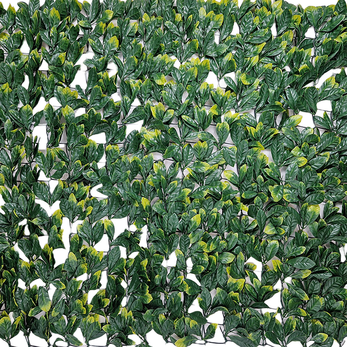 Laurel Leaf Hedge Roll